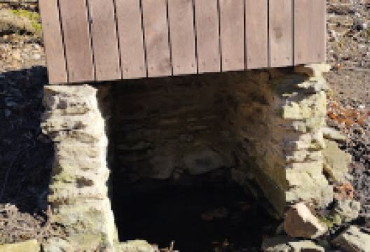 Studánka pod Lichnici景点图片