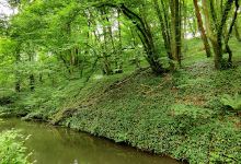 Marais De Boissy L'aillerie景点图片