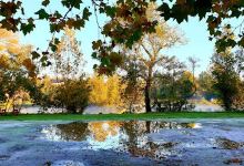 Aire de camping car municipale景点图片