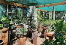 Robertson Garden World购物图片