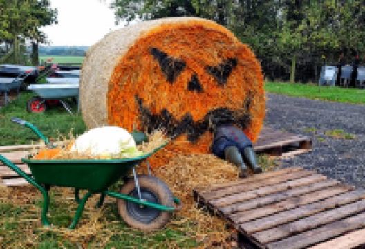 Bearstone PYO fruit farm景点图片