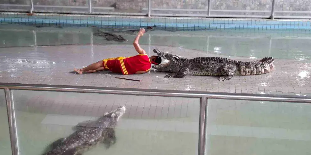 永安旅遊