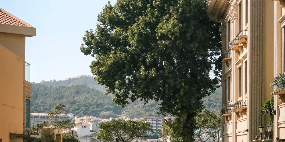 永安旅遊