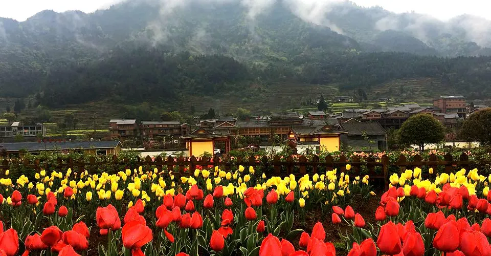 永安旅遊