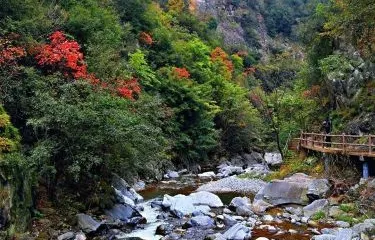 上運石地質公園
