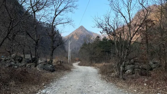 牛圈溝