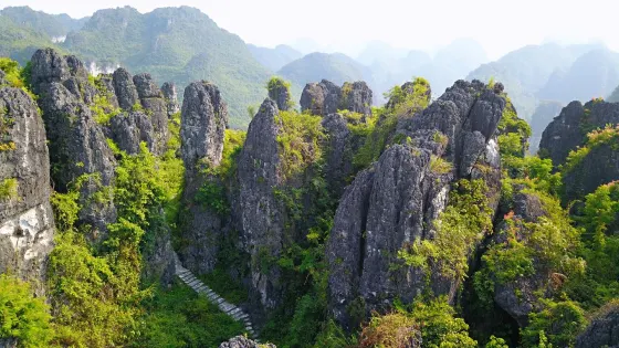 金釵石林城堡景區