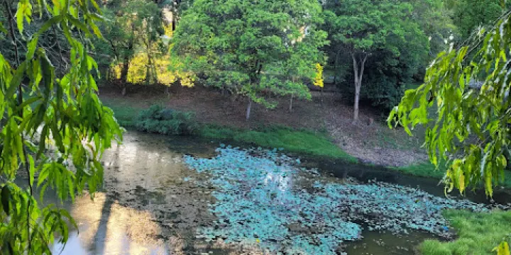 芙蓉湖濱公園
