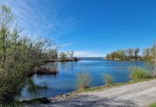 Lagunen-Rundwanderung Rheindelta - Bodensee景点图片