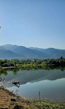 Andy Adams Park-雷顿