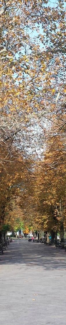 波将金阶梯-敖德萨