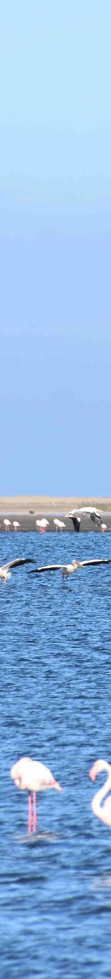 长滩休闲公园-Langstrand