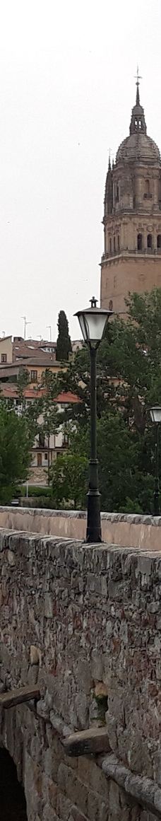 罗马古桥-萨拉曼卡