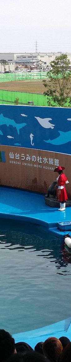 仙台海洋森林水族馆-仙台