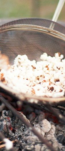 Geografisk Have-科灵