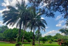 Parque Zeca Malavazzi景点图片