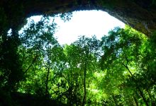 Clara Cave (Cueva Clara)景点图片