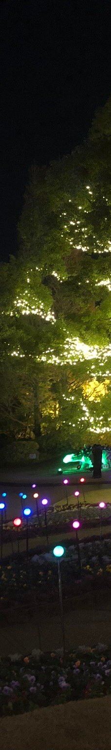 安城产业文化公园-安城市