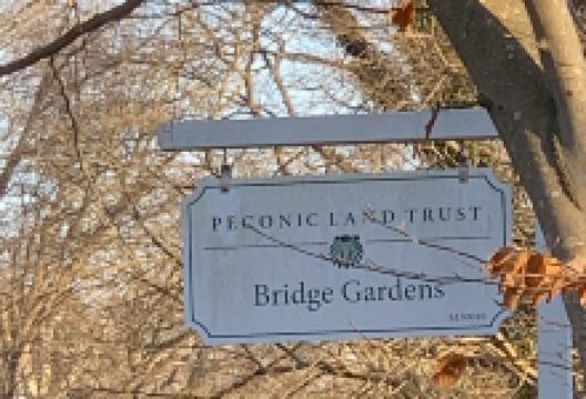 Bridge Gardens景点图片