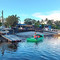 Barnacles Dolphin Centre