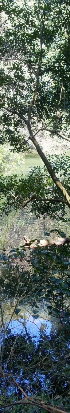 Heiwadai Park-宫崎