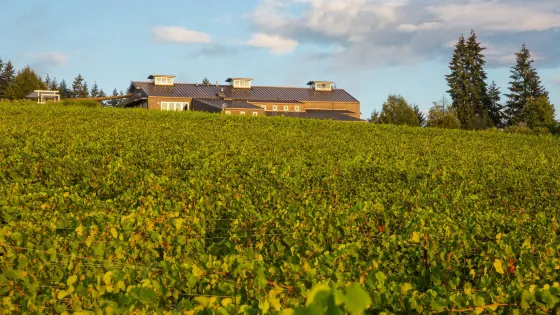 Hawks View Winery