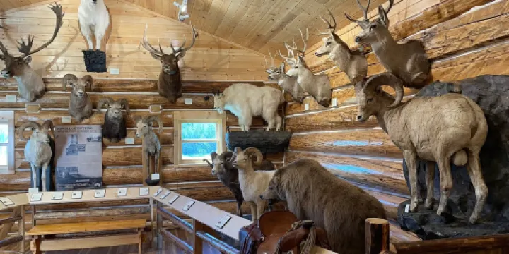 Hudson's Hope Museum