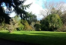 El Jardin Botanico de La Universidad Austral De Chile景点图片