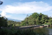 Situ Gede景点图片