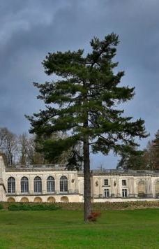 Chateau de la Mercerie-马尼亚克拉瓦莱特维拉尔