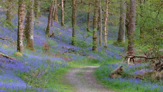 Glen Finglas Visitor Gateway & Estate
