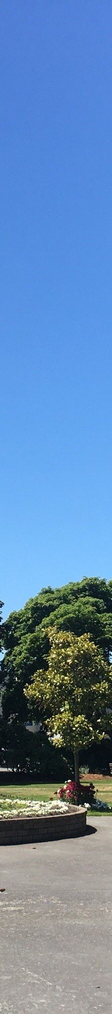 Gore Public Gardens-戈尔