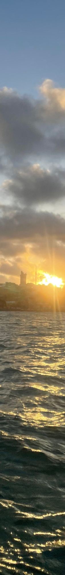 Jangalancha Show-纳塔尔