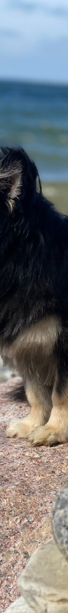 Helnæs Lighthouse-埃伯鲁普