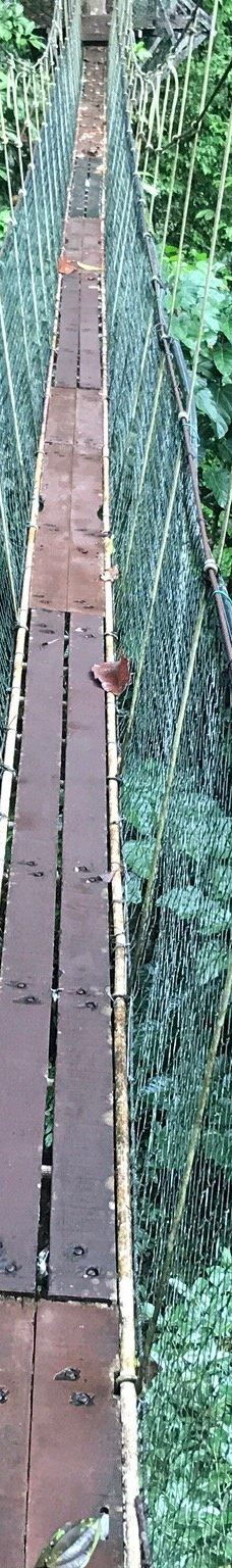 Mulu Skywalk-马鲁迪