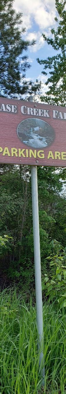 Chase Creek Falls-汤普森-尼古拉