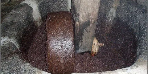 Antigo Lagar de Azeite da Aldeia da Mata