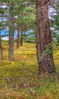 Rebecca Spit Marine Provincial Park-奎德拉岛