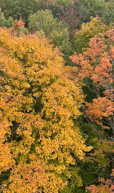Kathio Observation Tower-米尔湖县