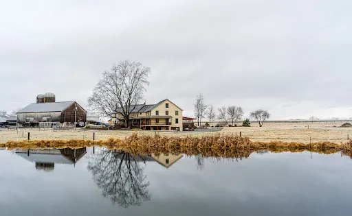 Verdant View Farm