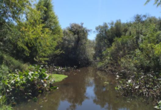 Paso Carvajal Arroyo Rosario景点图片