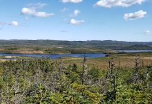 Placentia Bay Lookout景点图片