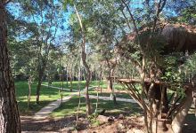 Cenote Uayma Ha景点图片
