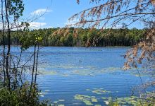 Perch Lake Campground景点图片