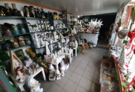 Ogrodnictwo Alex购物图片