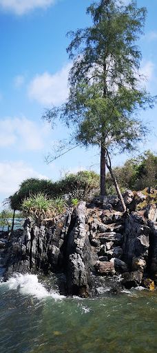 Pantai Tanjung Balau-Pantai Timur