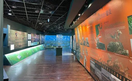 黑面琵鷺生態展示館