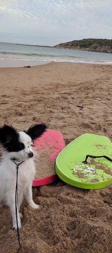 艾略特港海滩-维克多港