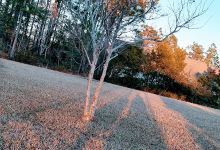 Robert G Muse Memorial Park景点图片