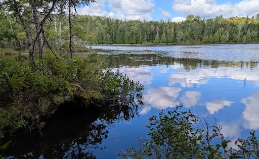 Hunter Cove Wildlife Sanctuary